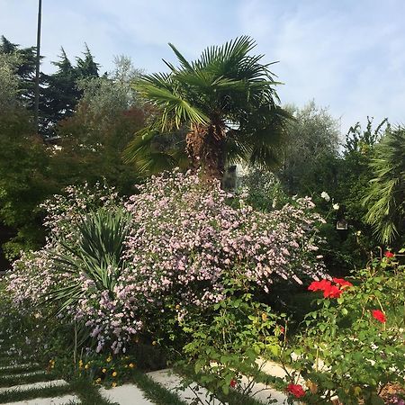 Villa Arzilla Desenzano del Garda Exteriör bild