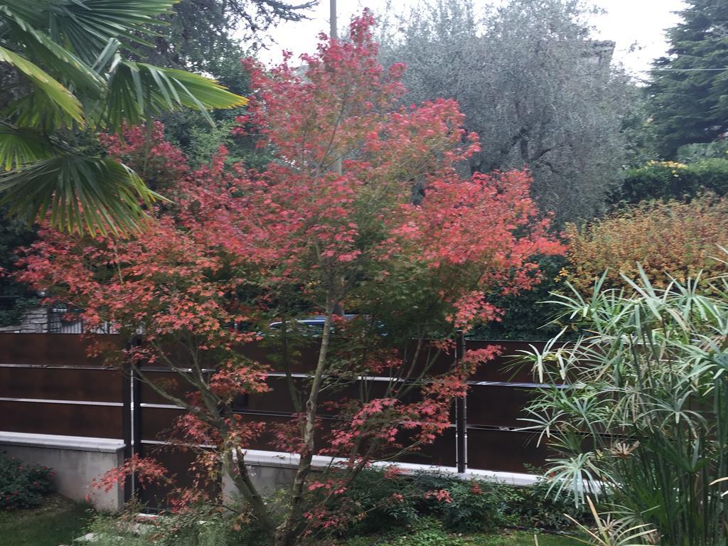 Villa Arzilla Desenzano del Garda Exteriör bild